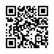 mGBA模拟器v0.10.4便携版-趣奇资源网-第11张图片